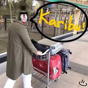 【非洲肯亞】Day 2|走進大象孤兒院,與小象的療癒相遇